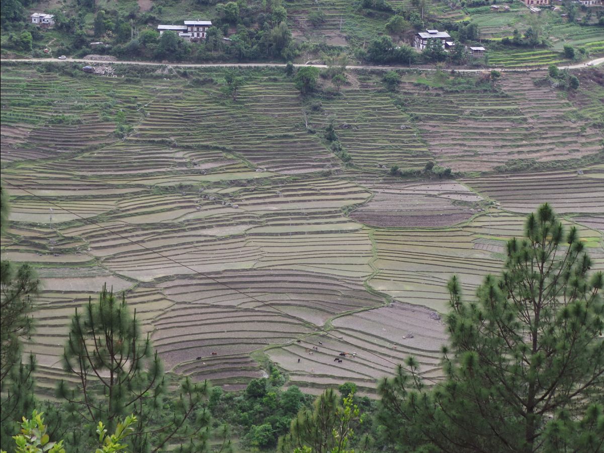 Gantey Hike14